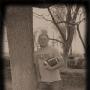 Andrew Link Photo 19