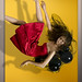 Elisa Escobar Photo 26