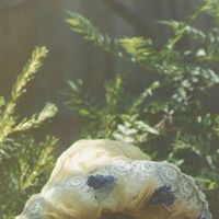 Sandra Taber Photo 8