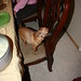 Robin Colton Photo 10