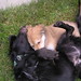 Henry Simon Photo 13