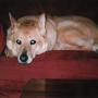 Karen James Photo 12