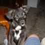 Larry Chaney Photo 18