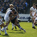 Daniel Browne Photo 38