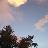 Cindy Crandall Photo 18