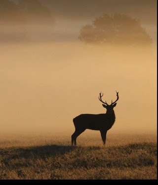 Howard Baker Photo 47
