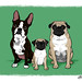 Melissa Hurley Photo 41