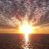 Catherine Vogel Photo 32