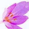 Lisa Watson Photo 23