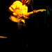 Devin Davis Photo 39