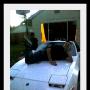 Anthony Carey Photo 28