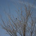 Robin Sadler Photo 13