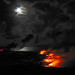 Gail Williams Photo 52