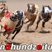 Edwin Graf Photo 12