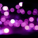 L E Photo 17