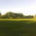 Laurie Meadows Photo 12