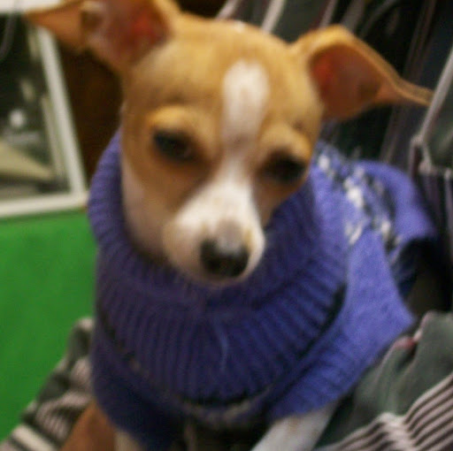 Sandy Hunt Photo 8