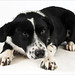 Sherry Shepherd Photo 26