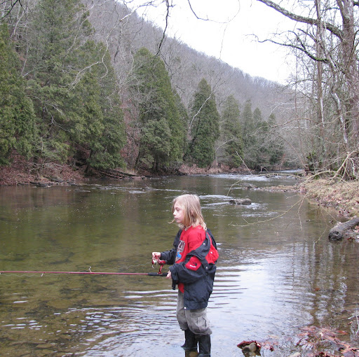 Linda Calhoun Photo 21