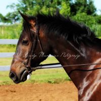 Kathy Mackey Photo 26