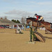 Ginny Howe Photo 7