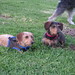 Heather Beasley Photo 18