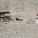 Christine Oman Photo 4