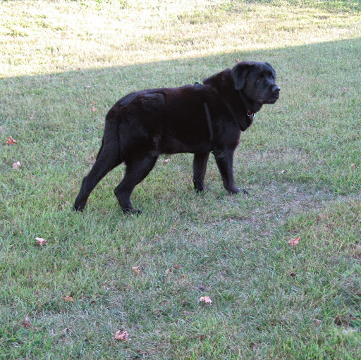 Jeffrey Jennings Photo 39
