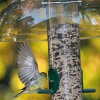 Susan Keister Photo 7
