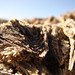 Crystal Surface Photo 2