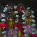Shyam Sundar Photo 17