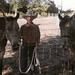 Michele Johnson Photo 24