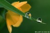 Jun Jiang Photo 17