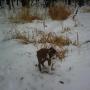 Paula Bates Photo 40