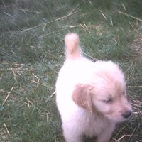 Steve Meeks Photo 21
