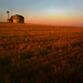 Craig Norton Photo 3