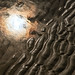 Patricia Beach Photo 24