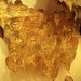 Binh Danh Photo 7