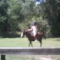 Joyce Kramer Photo 12