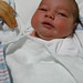 Ann Sharpe Photo 10