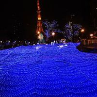Yip Ching Photo 7