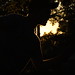 Dylan Myers Photo 15