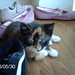 Mable Hope Photo 6