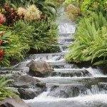 Debra Cushing Photo 1