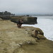 Christine Seals Photo 22