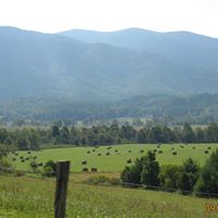 Rebecca Philpot Photo 12