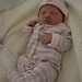 Connie Taylor Photo 33