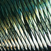 Danny Stack Photo 14