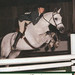 Michelle Mahoney Photo 16