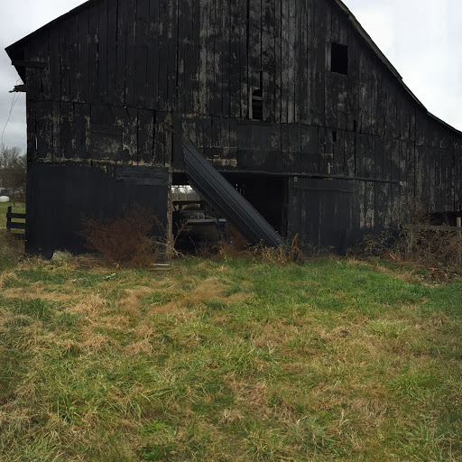 Paul Schaeffer Photo 36